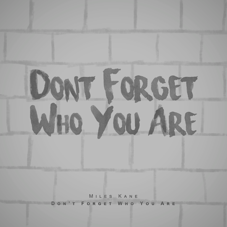 15 - Dont Forget Who You Are - Miles Kane.png