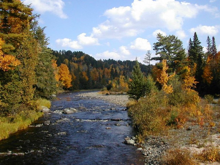 miller_sturgeon-river-1.jpg