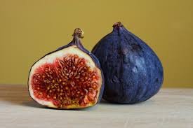 figs.jpg