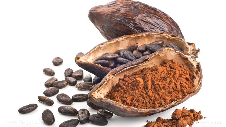Cocoa-Bean-Cacao.jpg