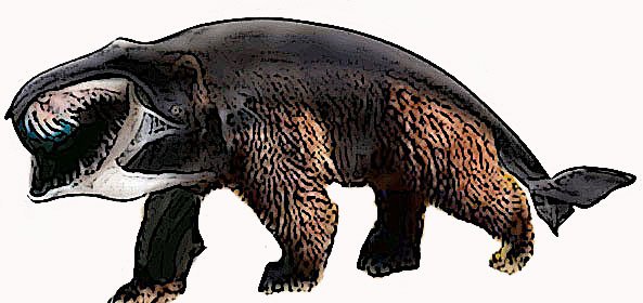 Bear Whale for Steemit poster.jpg