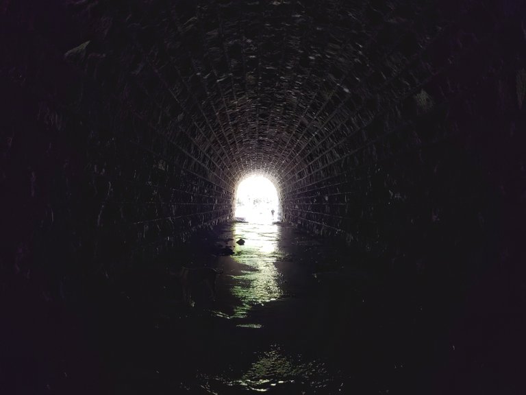 tunnel10.jpeg