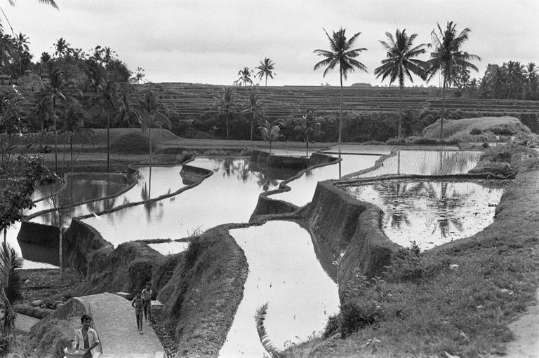 Bali, 1971. Joost Evers-Anefo. III.jpg