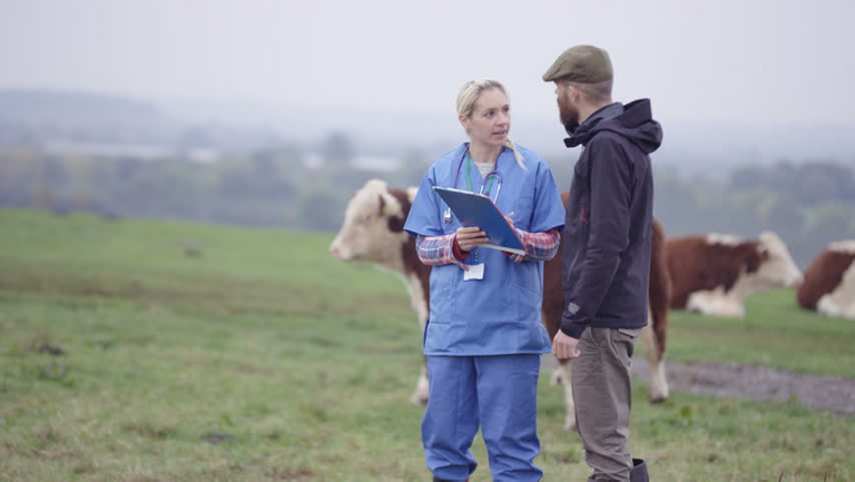 Vet and Farmer