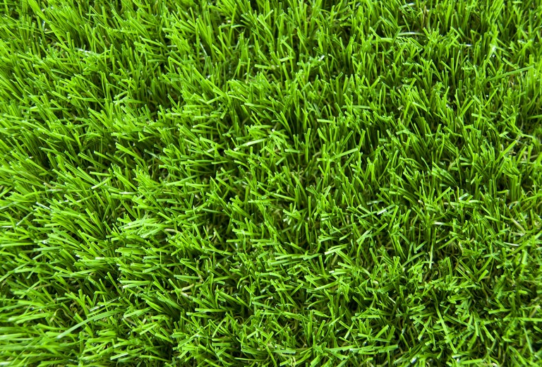 grass.png