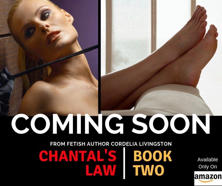 Chantal's Law 2 Promo.jpg