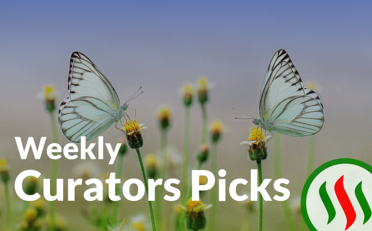 curators-picks (4).png
