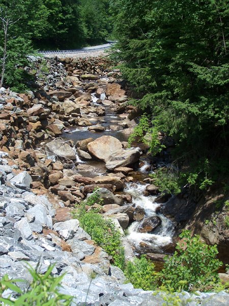 Road trip - Deerfield River Readsboro VT crop July 2019.jpg