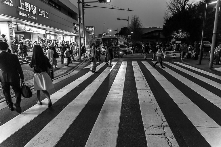 Ueno lines bw best bw.jpg