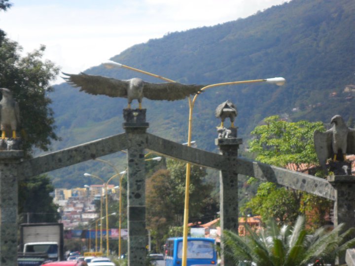 las aguilas 2.jpg