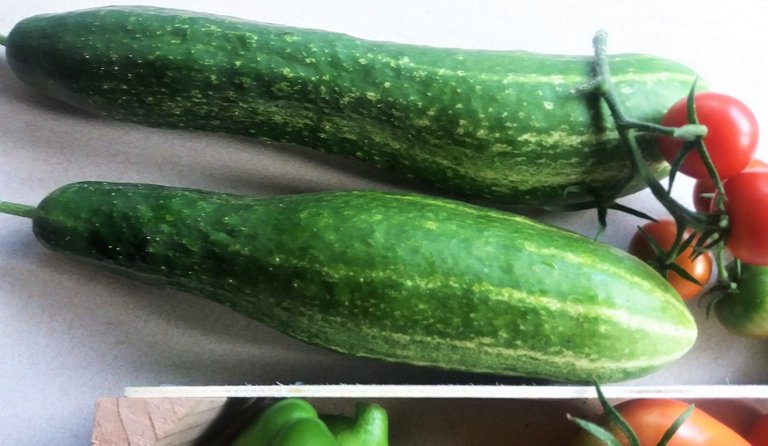 cuke 5.jpg