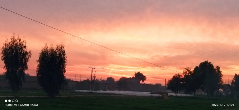 IMG_20220112_172942.jpg