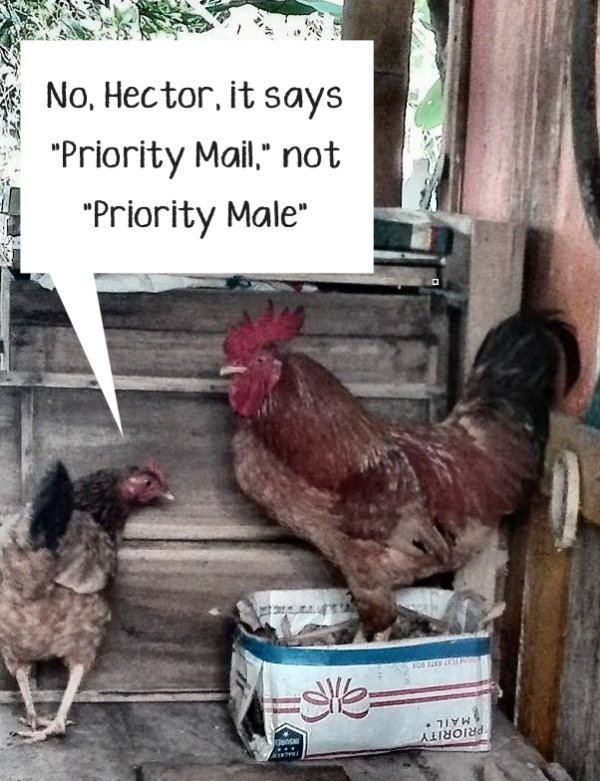 PriorityMail.jpg