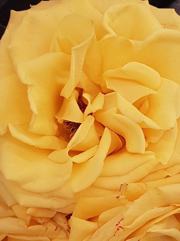 20180521_193001.jpg