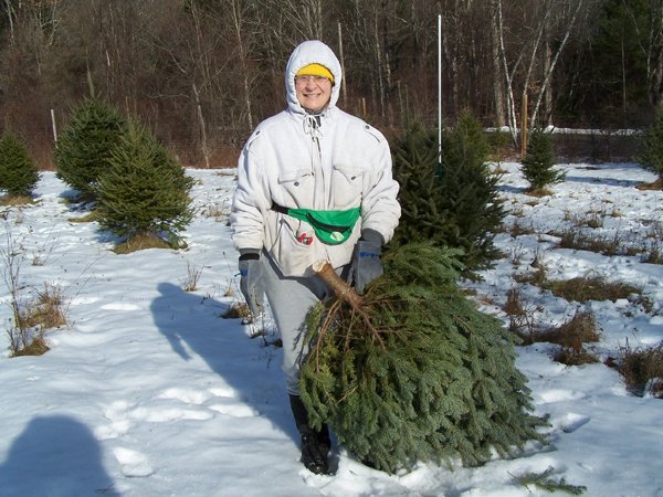 Christmas tree - Pam and cut tree crop December 2019.jpg