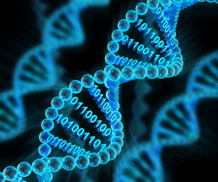 dna-binary-code-255618778-Shutterstock_ymgerman.jpg