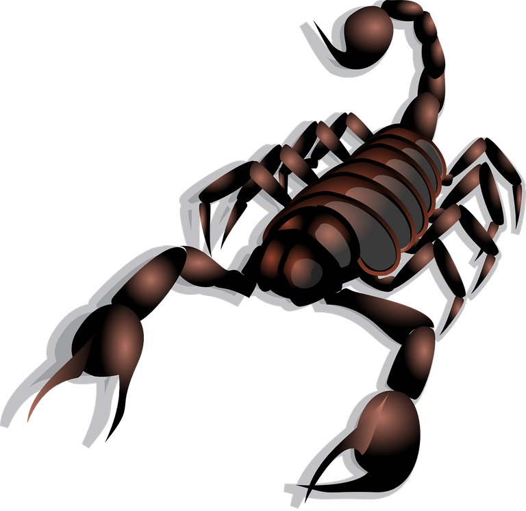 scorpion-23158_1280.png