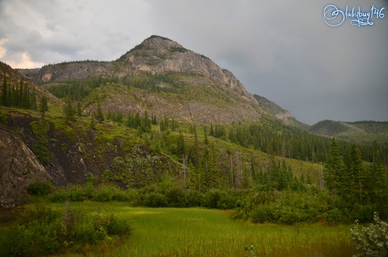 jasper national park.jpg