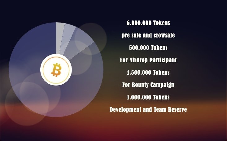 token distribution1.jpg