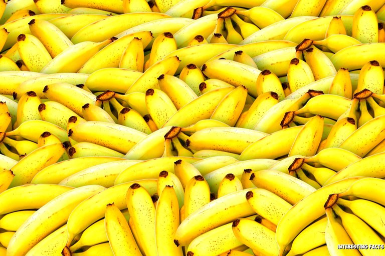 bananas-1119790_1920_result.jpg