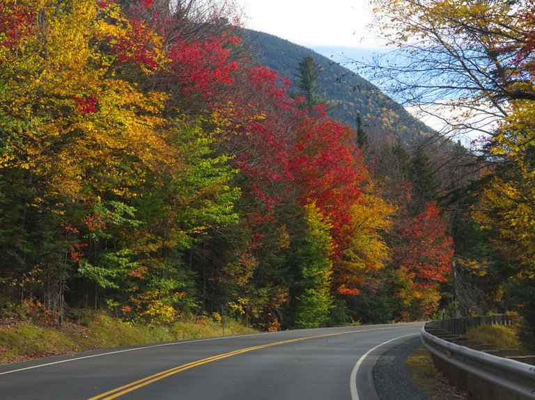 jessicaoutside.com-PA101522-driving-scenic-route-through-fall-foliage-new-england-1200.jpg