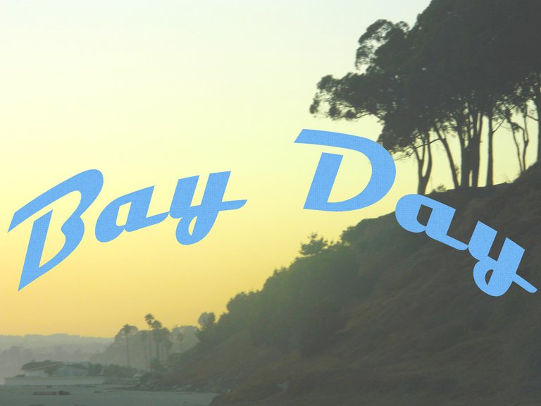 Bayday_1.0.jpg