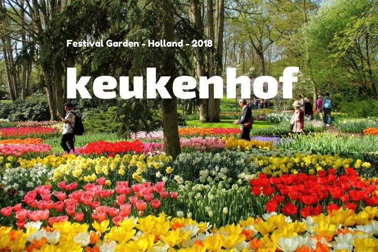 keukenhof.jpg