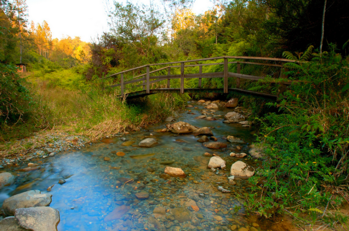 rio-en-la-Reserva-Científica-Ébano-Verde-700x465.png