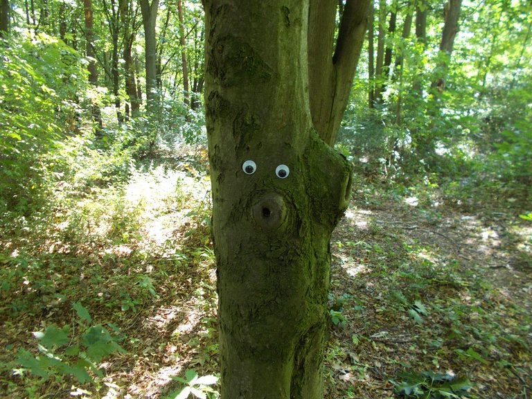 DSCN1580.JPG