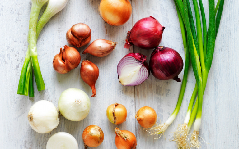 Know your onions banner.cf594c0c.png