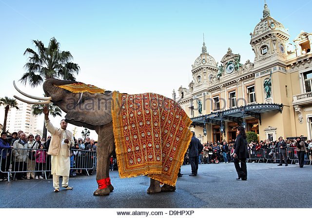 atmosphere-elephant-indian-bridegroom-gaurav-assomull-and-his-bride-d9hpxp.jpg