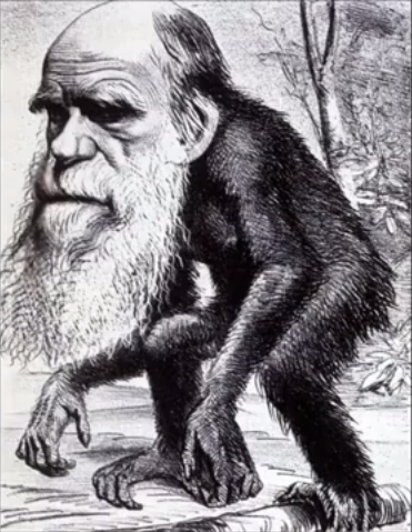 DARWIN.PNG