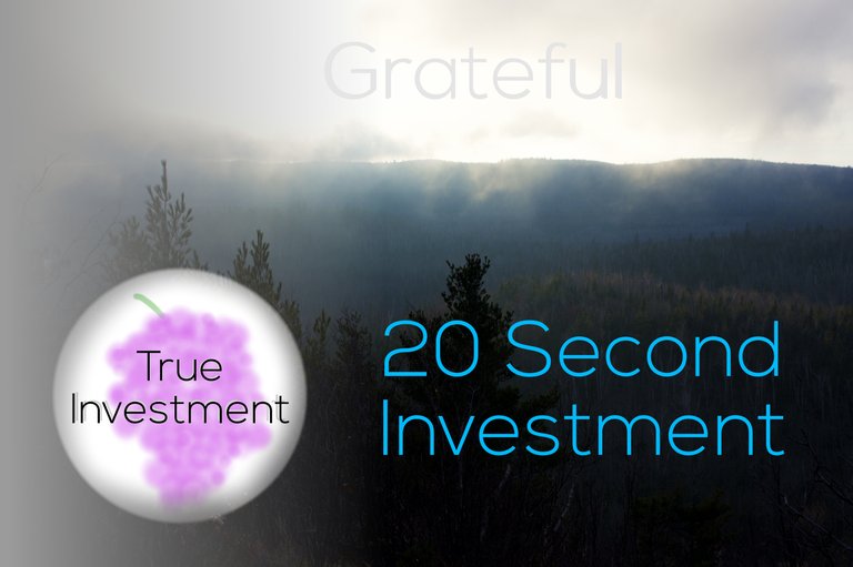 20 Second Investment-Gratful.jpg