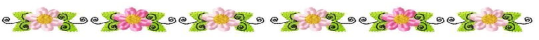 flores linea.png