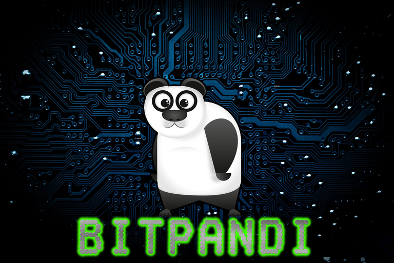 bitpandi