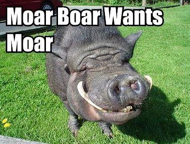 moar-boar.jpg