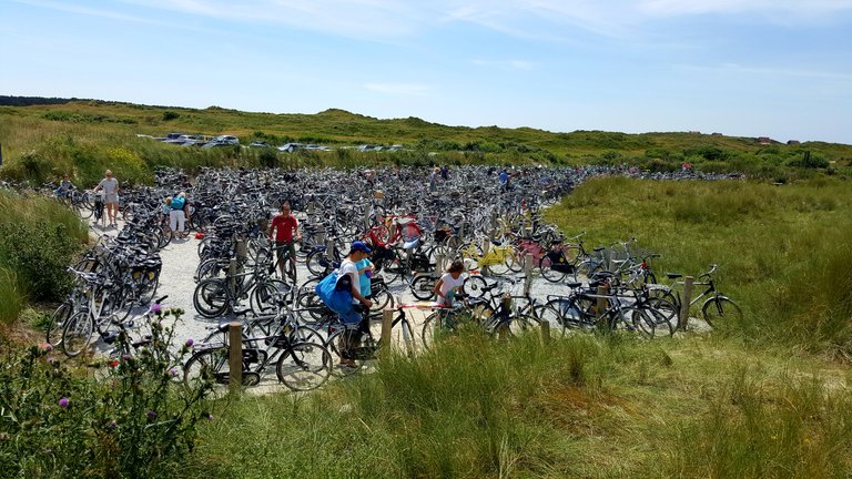 Terschelling 2.jpg