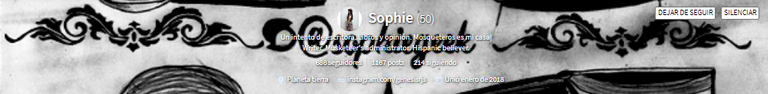 perfil de sophie.png