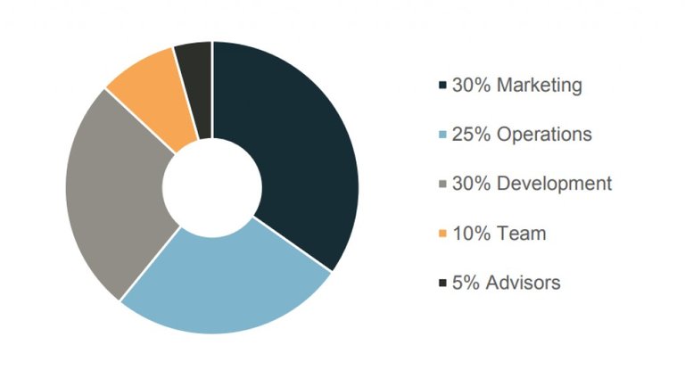 V-id token allocation.jpg