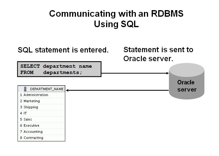 oracle_school1.jpg