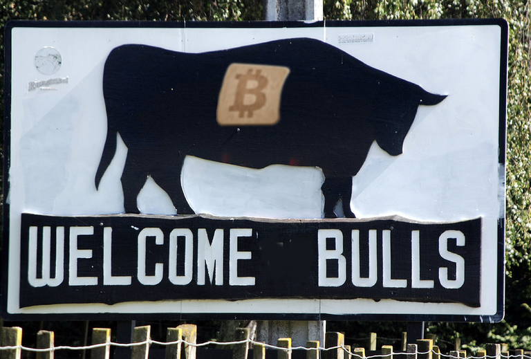 bitcoin-bullrun.png