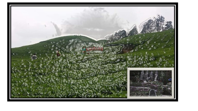 Slide1.JPG