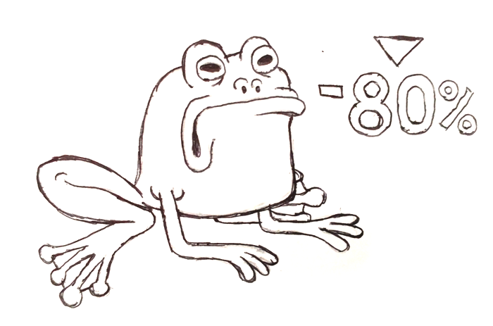 saddest-frog-around.png