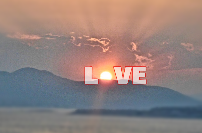 SDC19082-love.png