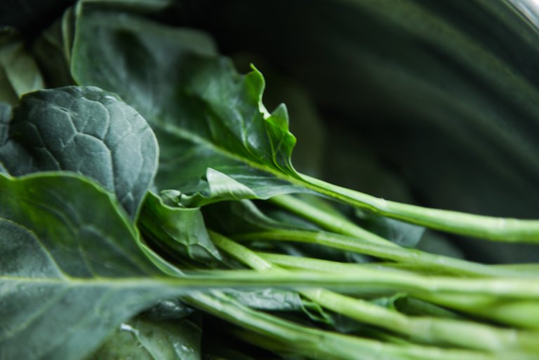 close-up-collard-greens-color-750952.jpg