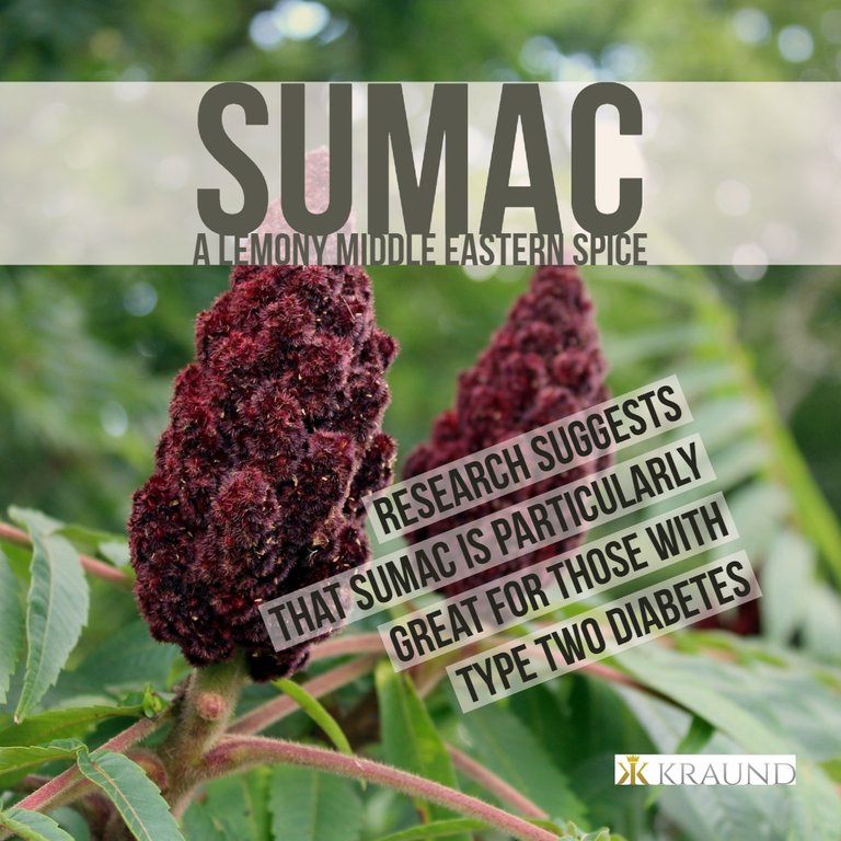 Sumac diabetes 2.jpg