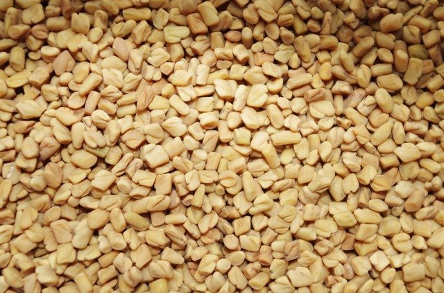 fenugreek-1049596_640.jpg