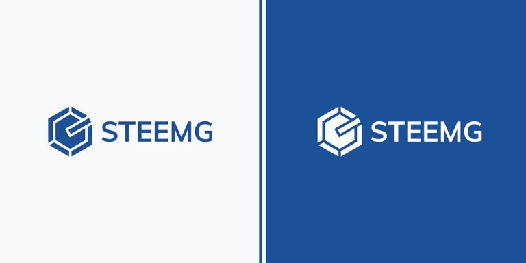 LOGO DESIGN_STEEMG_BACKGROUND_SIDE.jpg