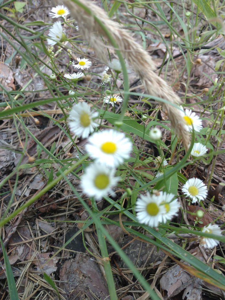 IMG_20180804_155533787.jpg