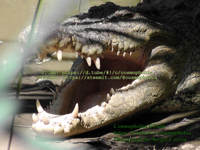 S1170005.jpg
